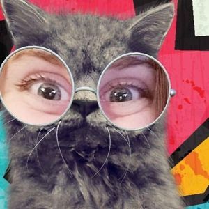 Meet your Posher, Dara